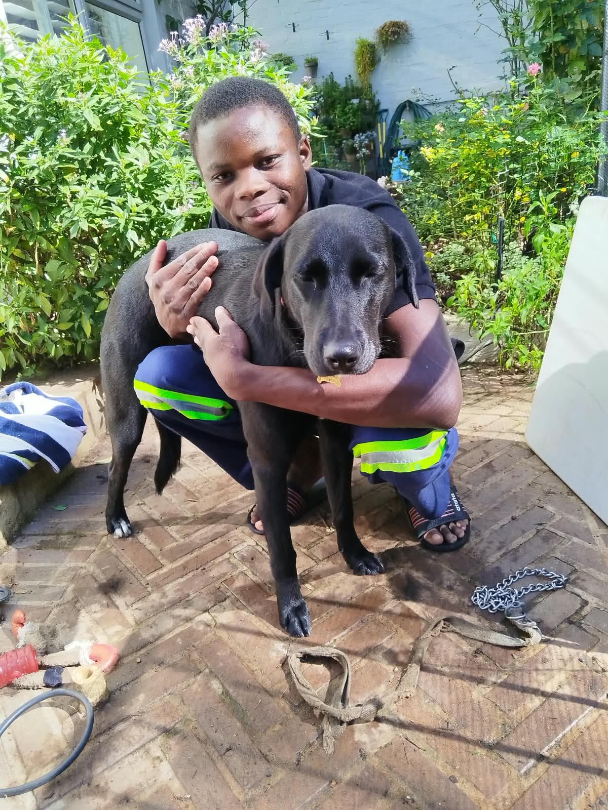 A groomer kneeling and hugging a black Labrador in a client’s courtyard